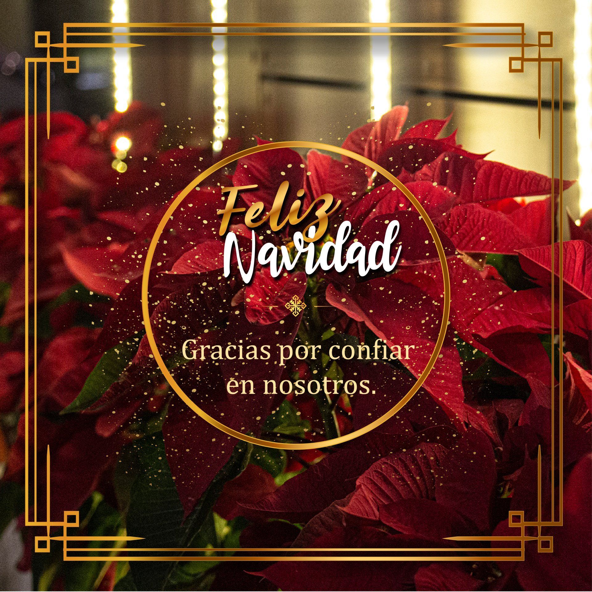 Un saludo navideño con una planta de flor de Pascua roja detrás de un marco dorado y el texto 