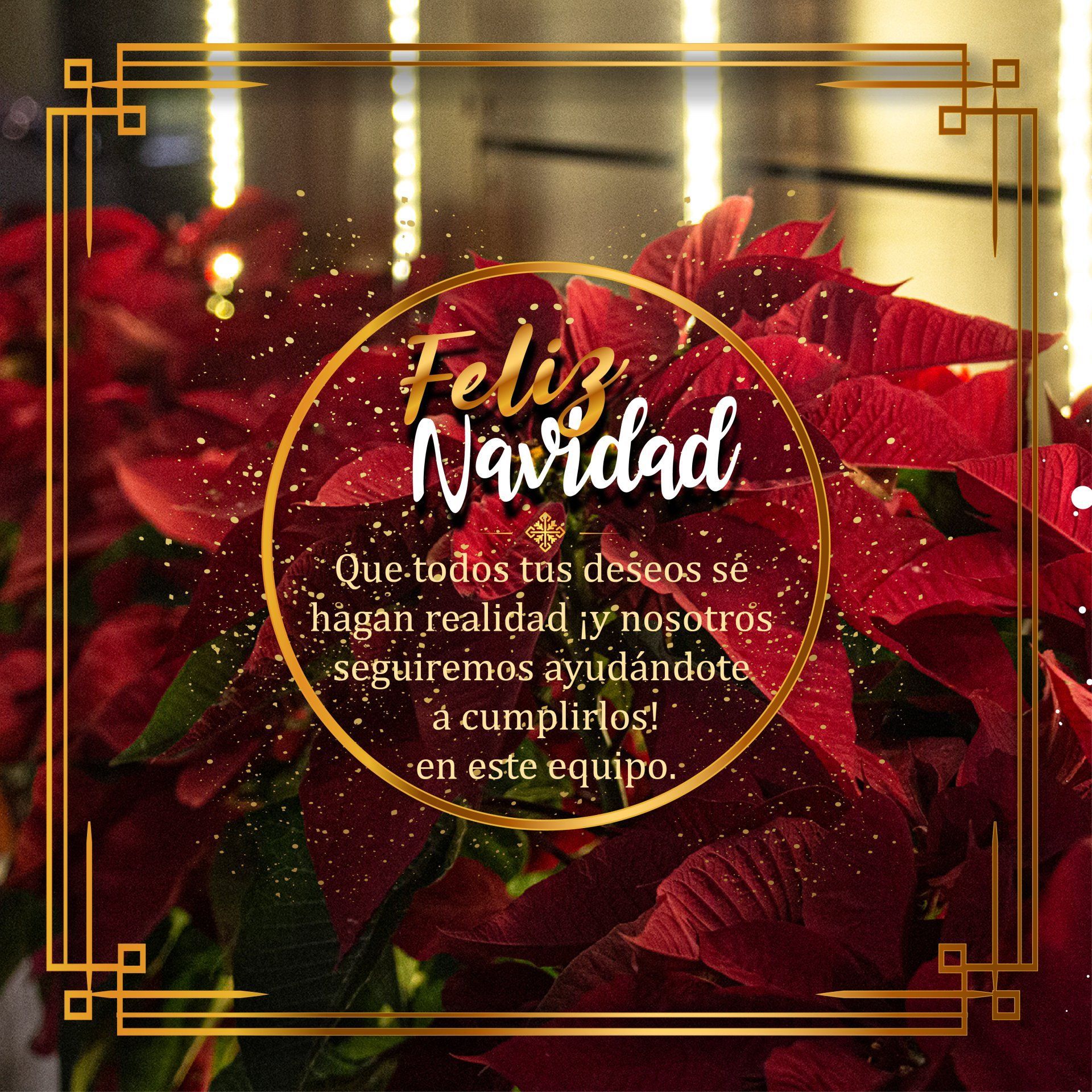 Un mensaje navideño superpuesto a una foto de flores de Pascua, con marcos dorados y un texto que desea felices fiestas.