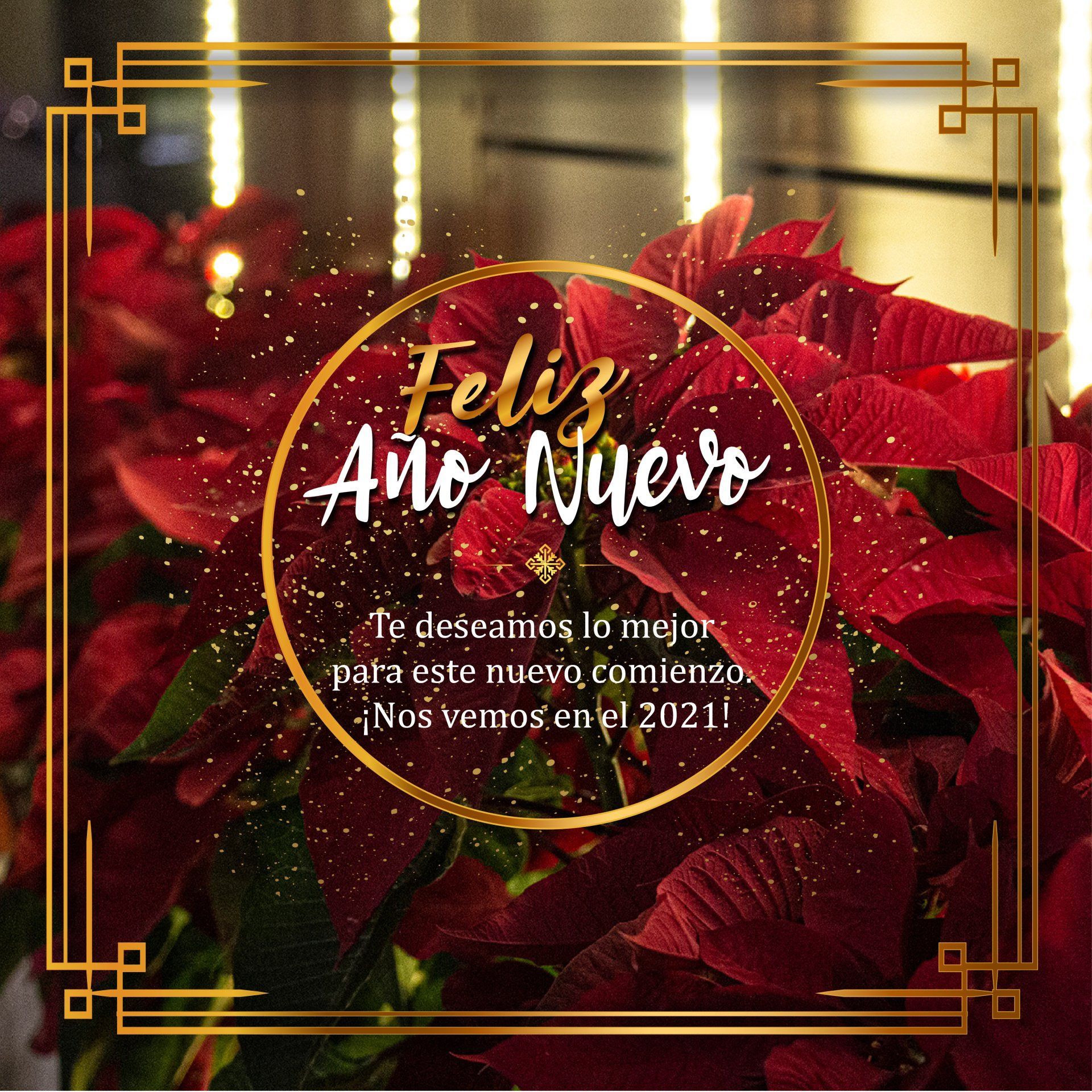 Tarjeta de felicitación de Año Nuevo con flores de pascua rojas, un marco dorado y el mensaje 