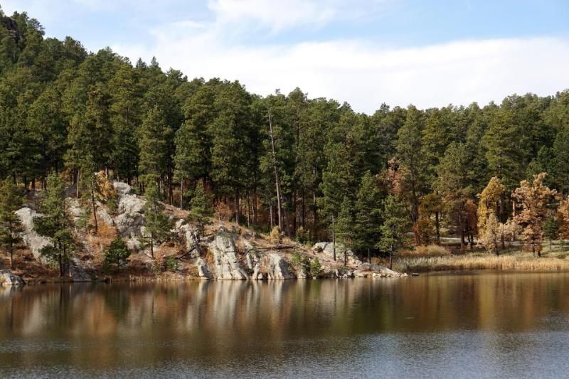 Lakeside view of dark evergreen forest, rocky shoreline reflecting in calm water.