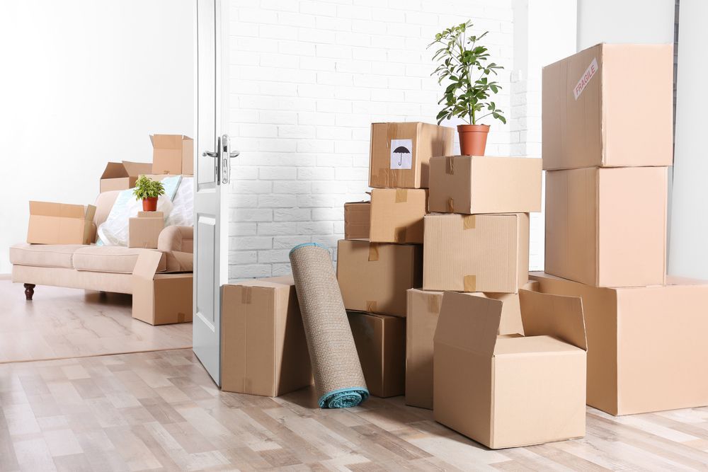 Cardboard Boxes Stacked in a Room; Moving Day Scene — Uplift Removals in Logan, QLD