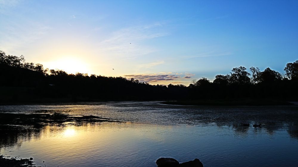 Sunset Over Calm Water, Silhouetted Trees Along the Horizon — Uplift Removals in Ipswich, QLD