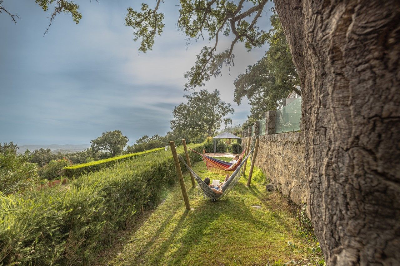 Relax in the hammocks