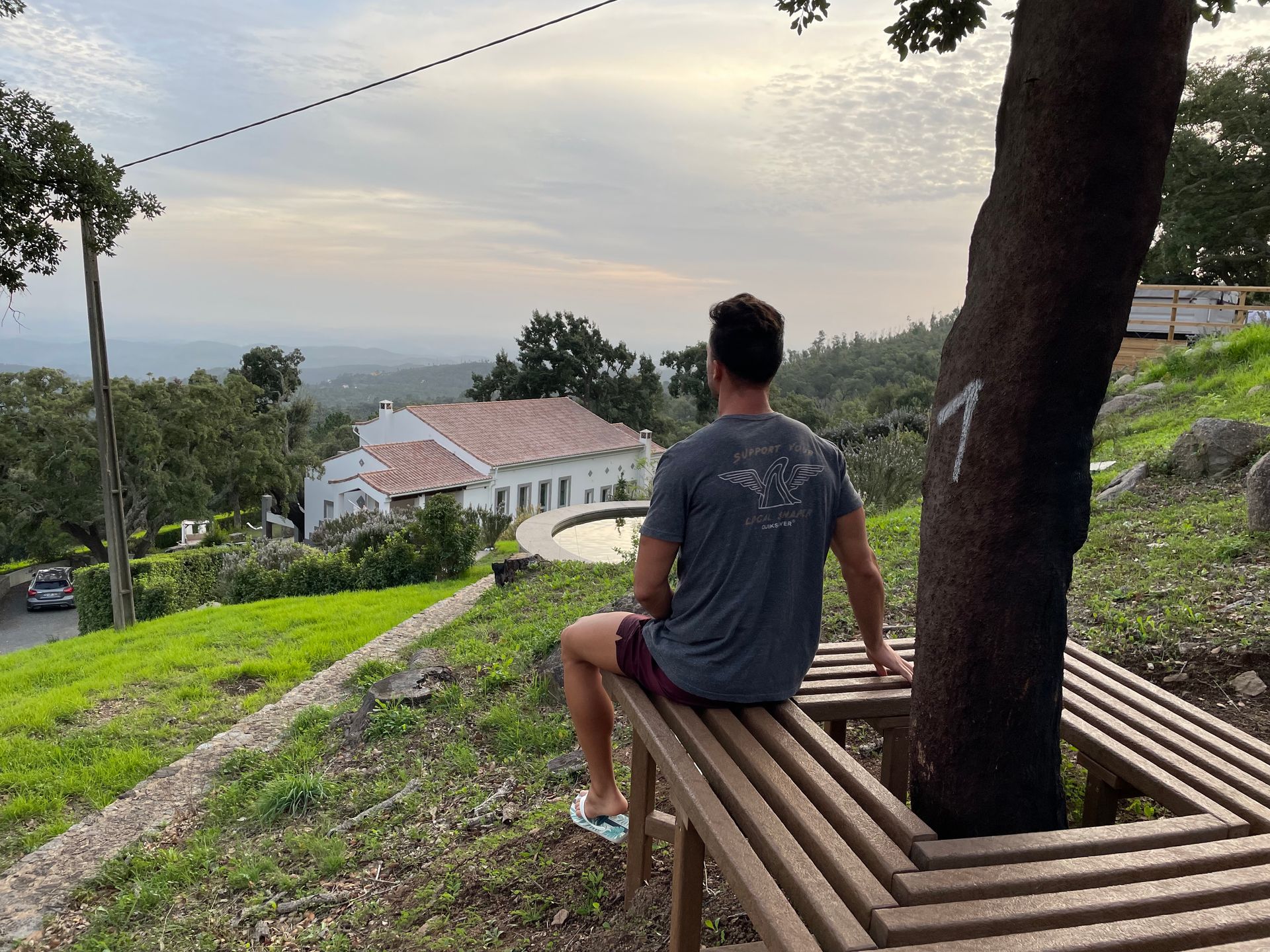 Tree bench wit a view