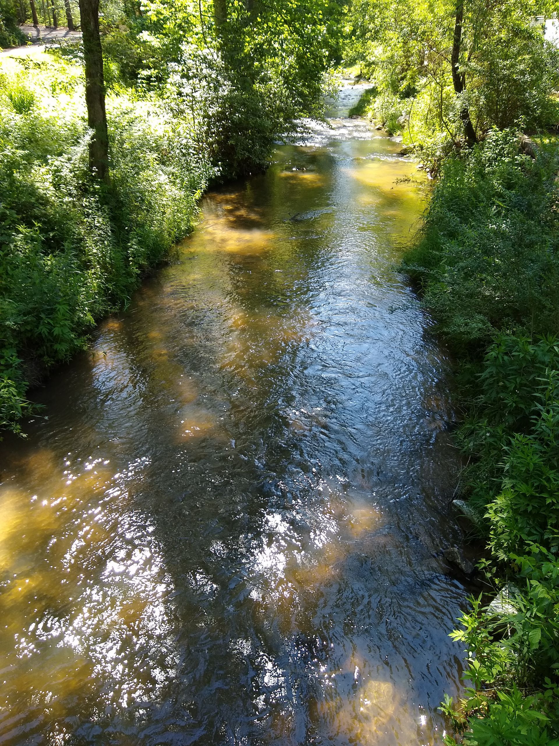 cabin rental blue ridge ga