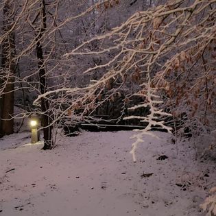 cabin rental in blue ridge ga