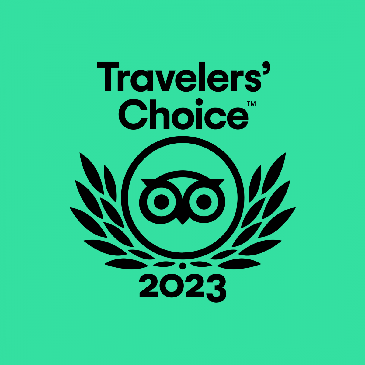 TripAdvisor Yor Ribs Travelers Choice 2023