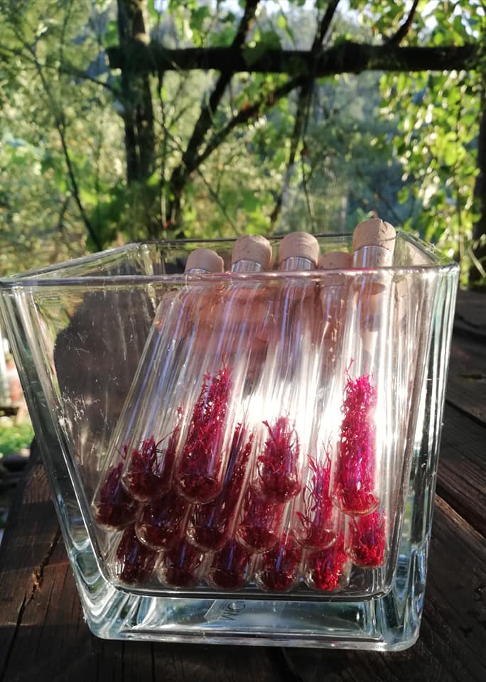 Pistilli di zafferano