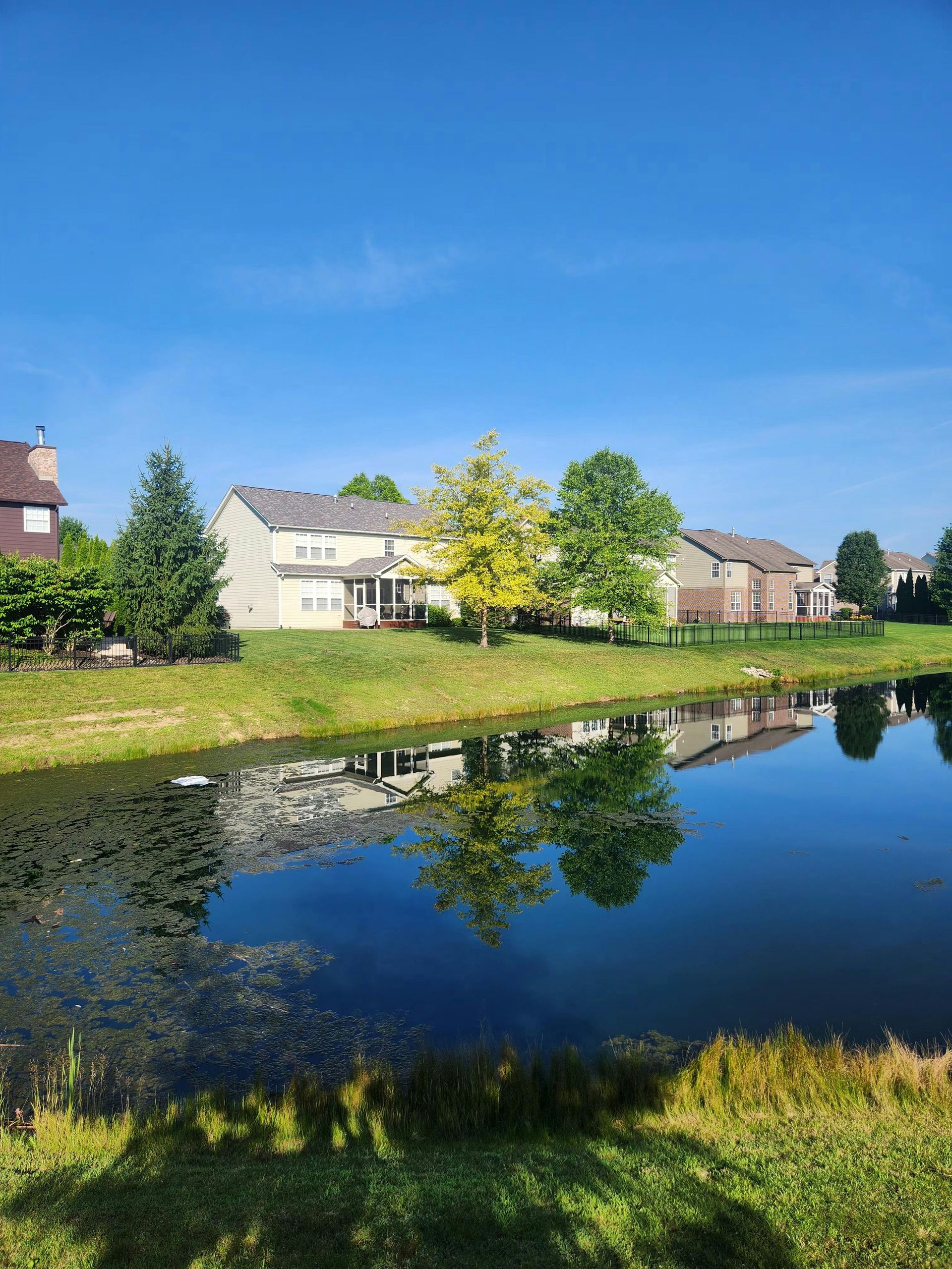 There is a pond in the middle of a residential area with houses in the background.