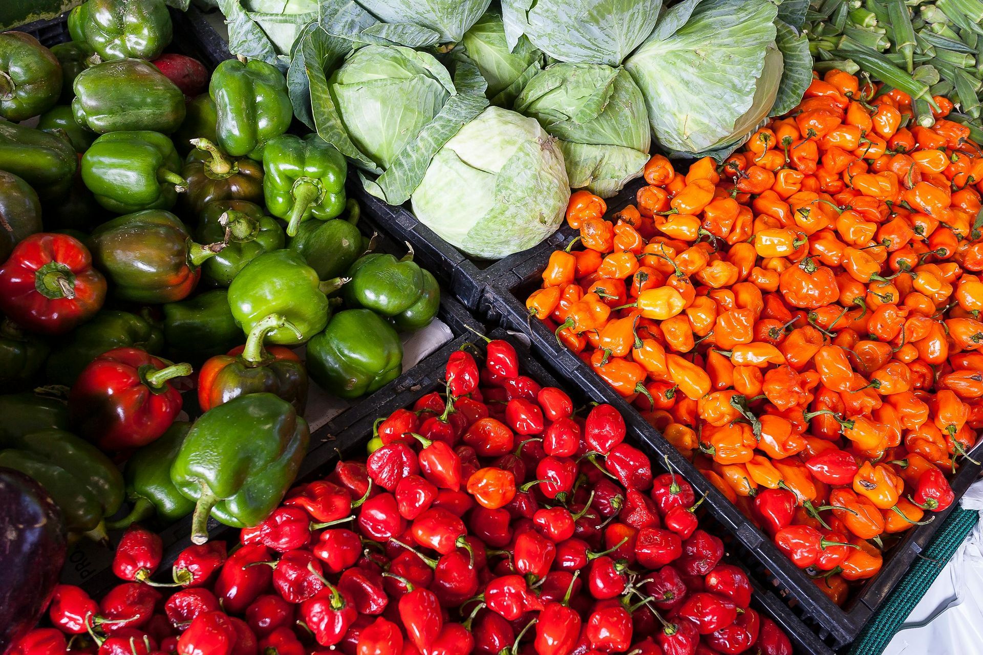 Various green bell peppers, cabbages, red habanero-style chilies, and orange peppers displayed in black market crates.