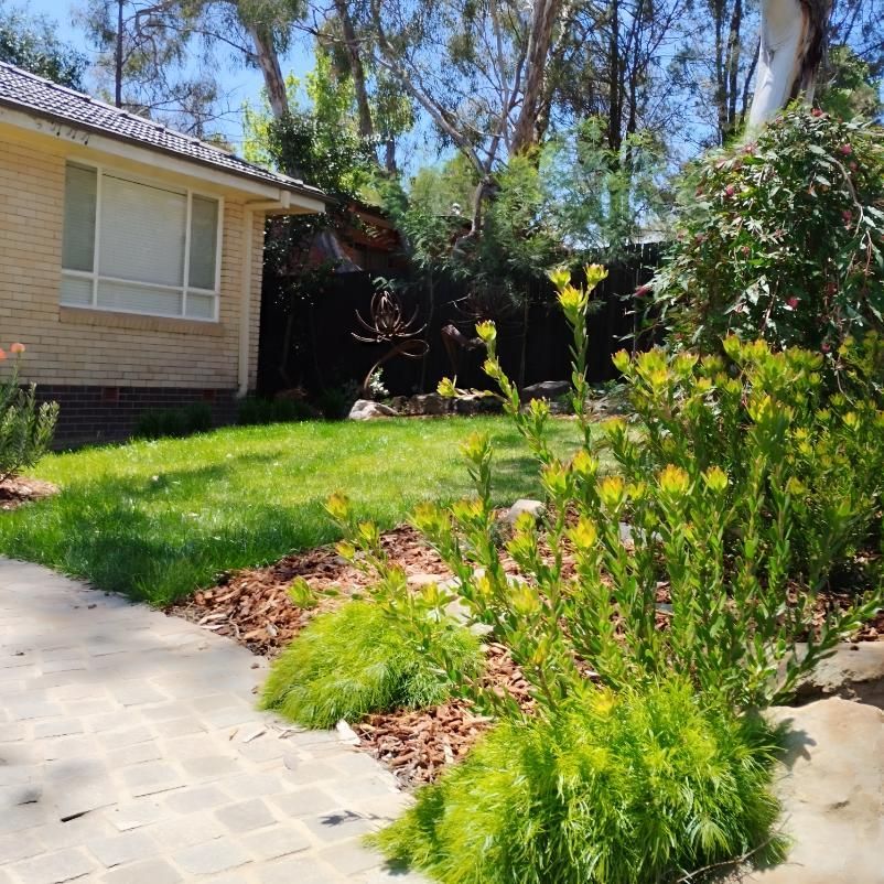 A House With A Lot Of Grass And Flowers In Front Of It — Landschape In Braddon, ACT