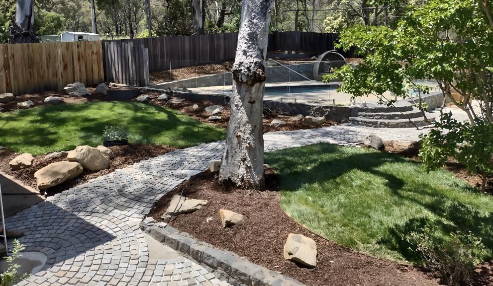 There Is A Tree In The Middle Of The Garden — Landschape In Braddon, ACT