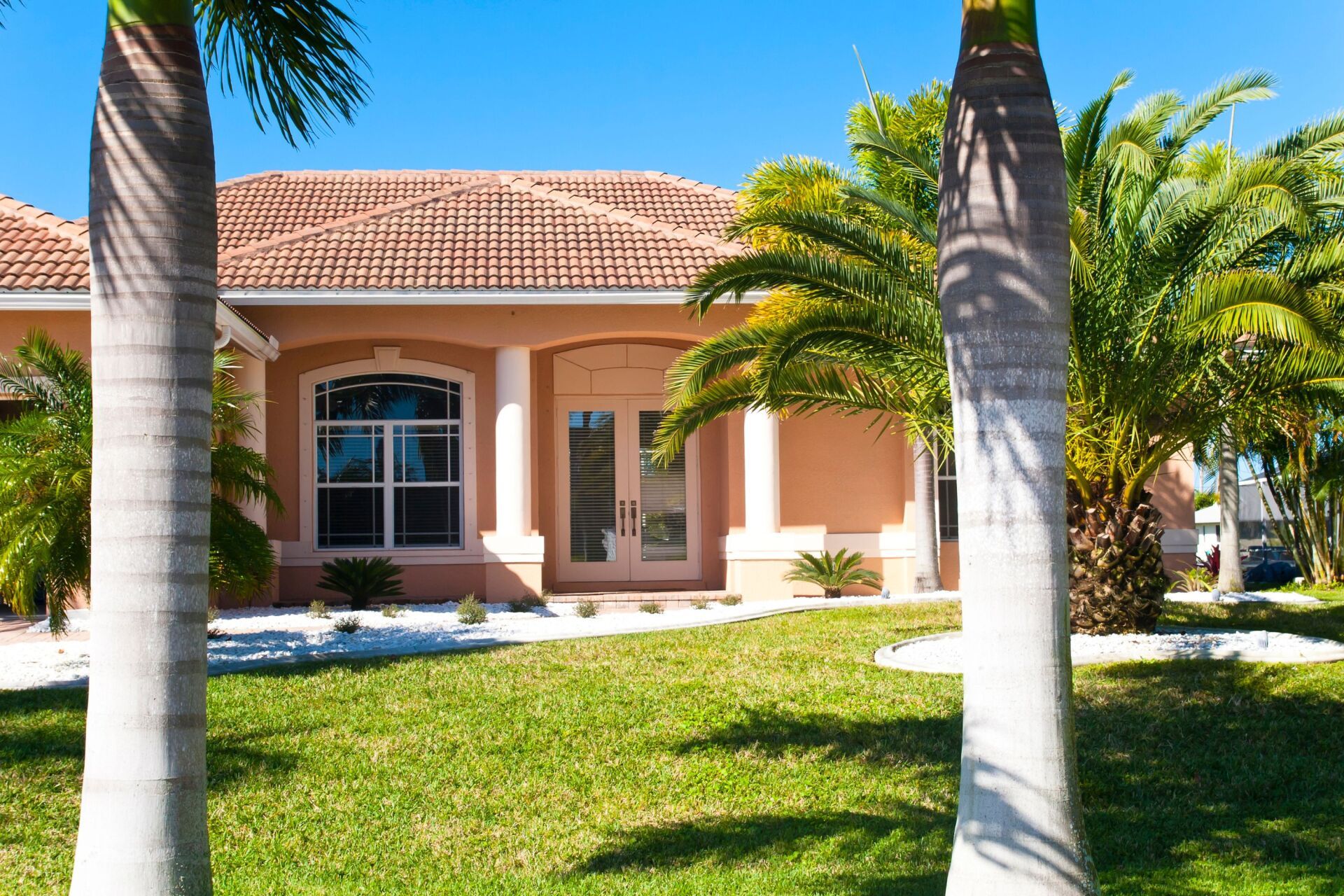 Tampa Bay Home With Palm Trees and Green Grass