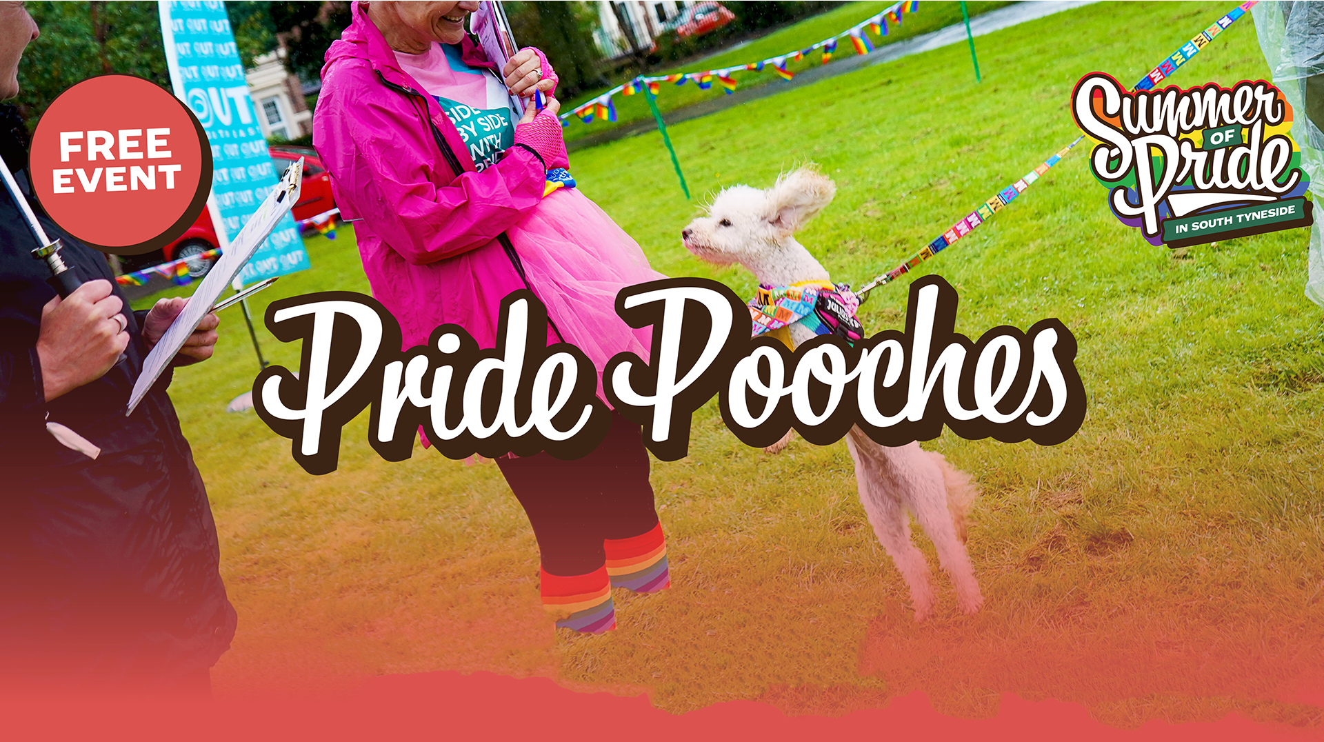 A close up of a dog wearing a rainbow headband.