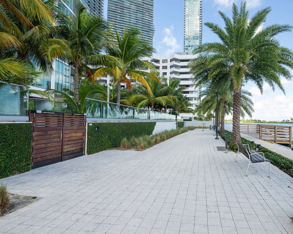 Walkway with Palm Trees — Miami, FL — Concrete Services Pump and Finishing Inc.