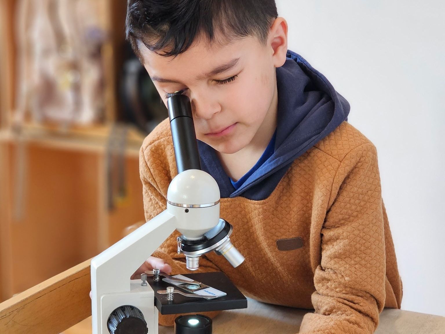 Curiosity Over Commands