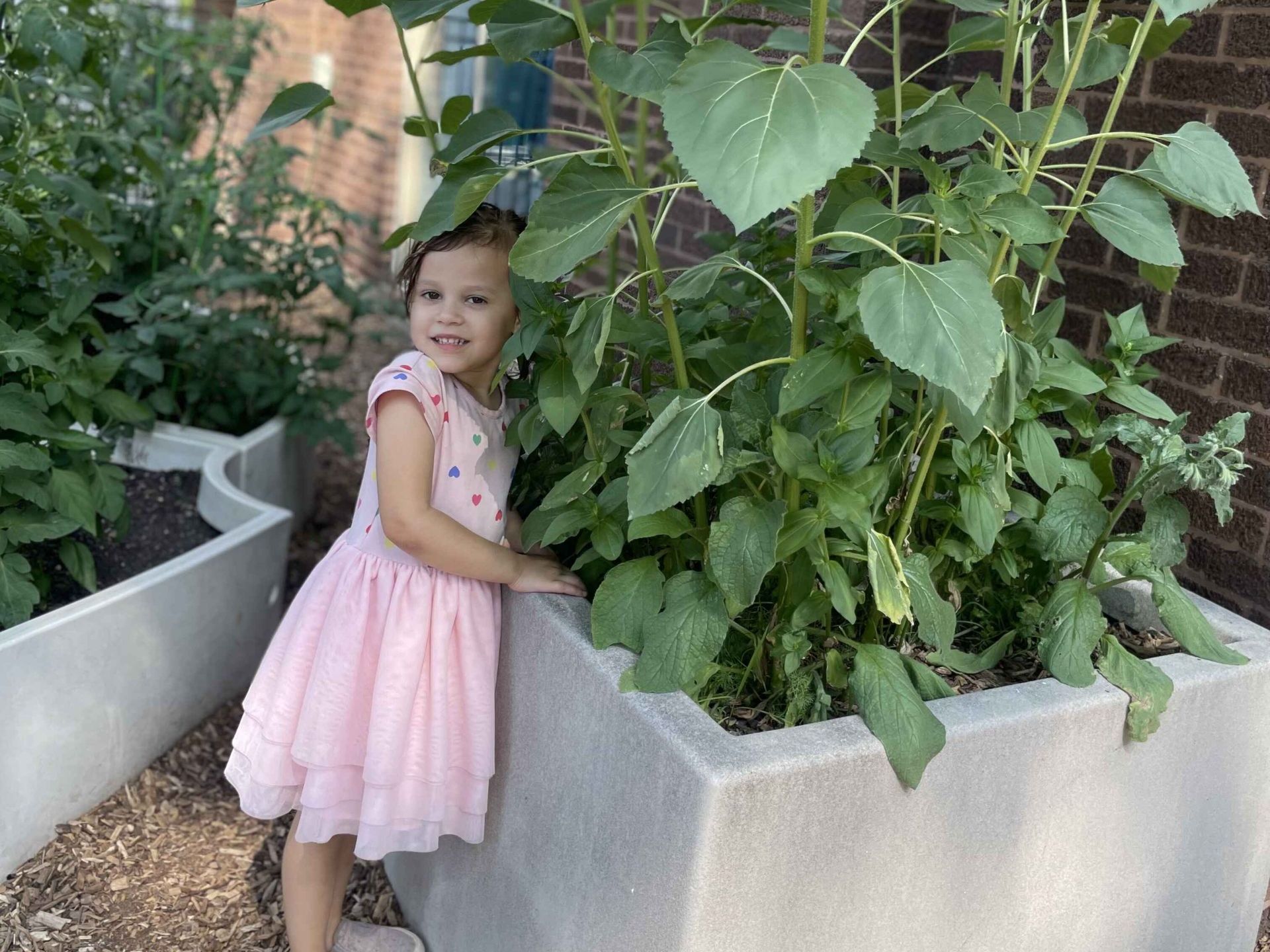 Where Learning Grows: The Montessori Approach to Outdoors