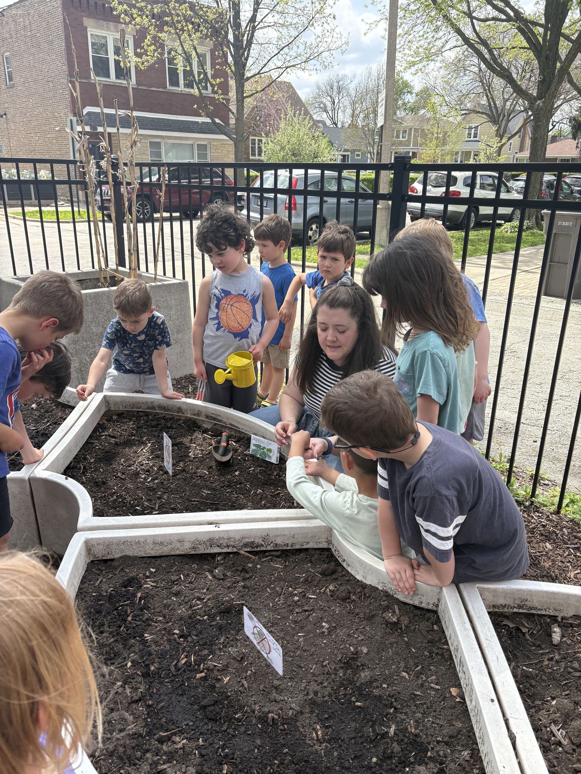 Children gather around raised garden beds, leaning in to inspect soil outdoors by a black fence.
