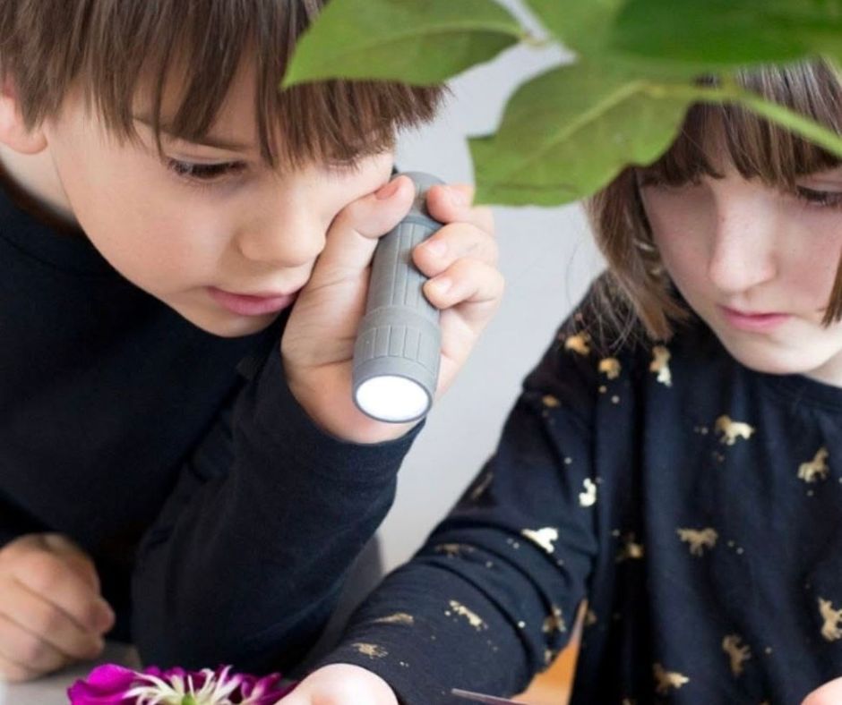 Wonder and Words: How Montessori Builds Language Through Biology