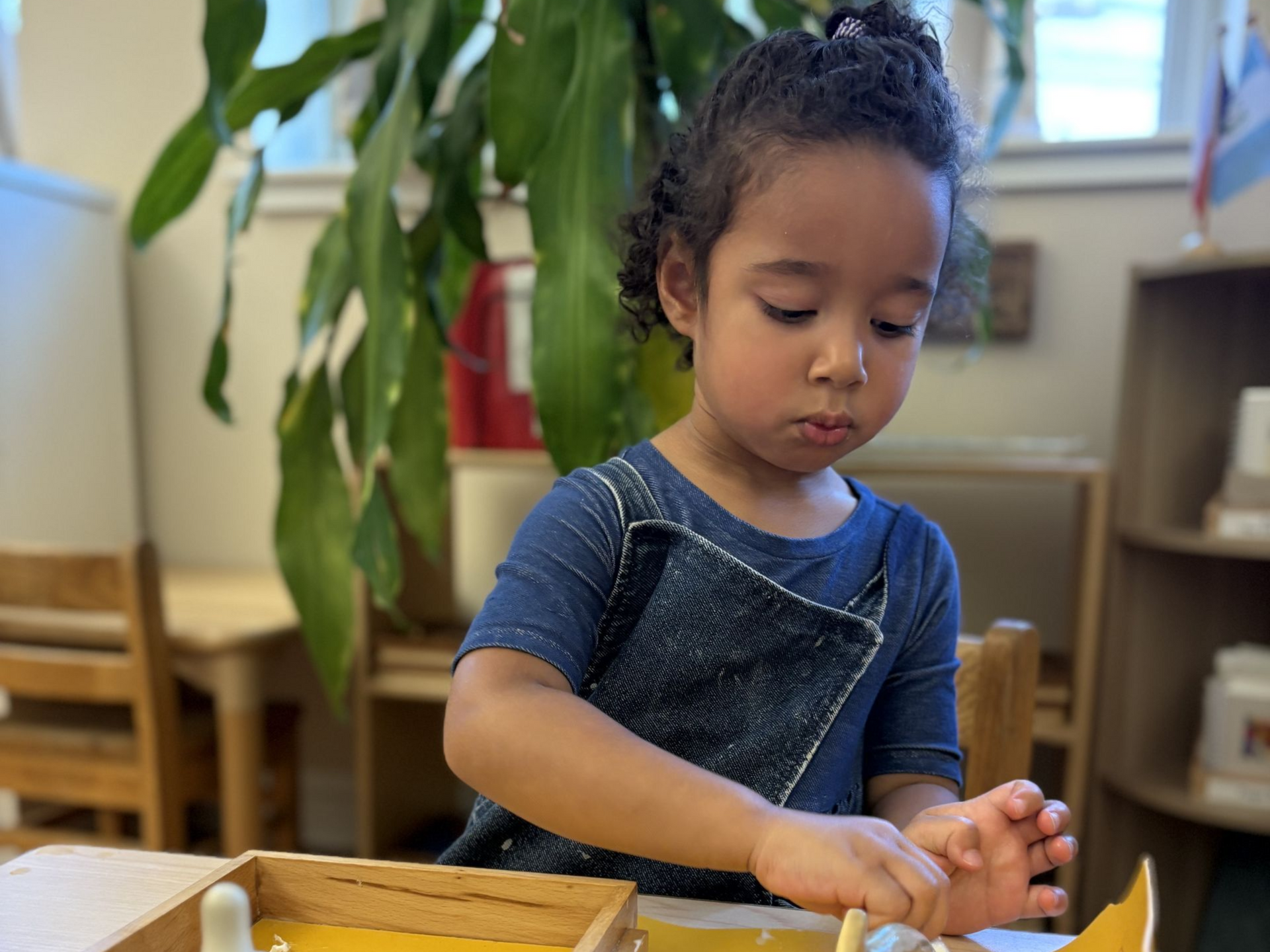 Human Tendencies: Why Montessori Still Feels So Relevant