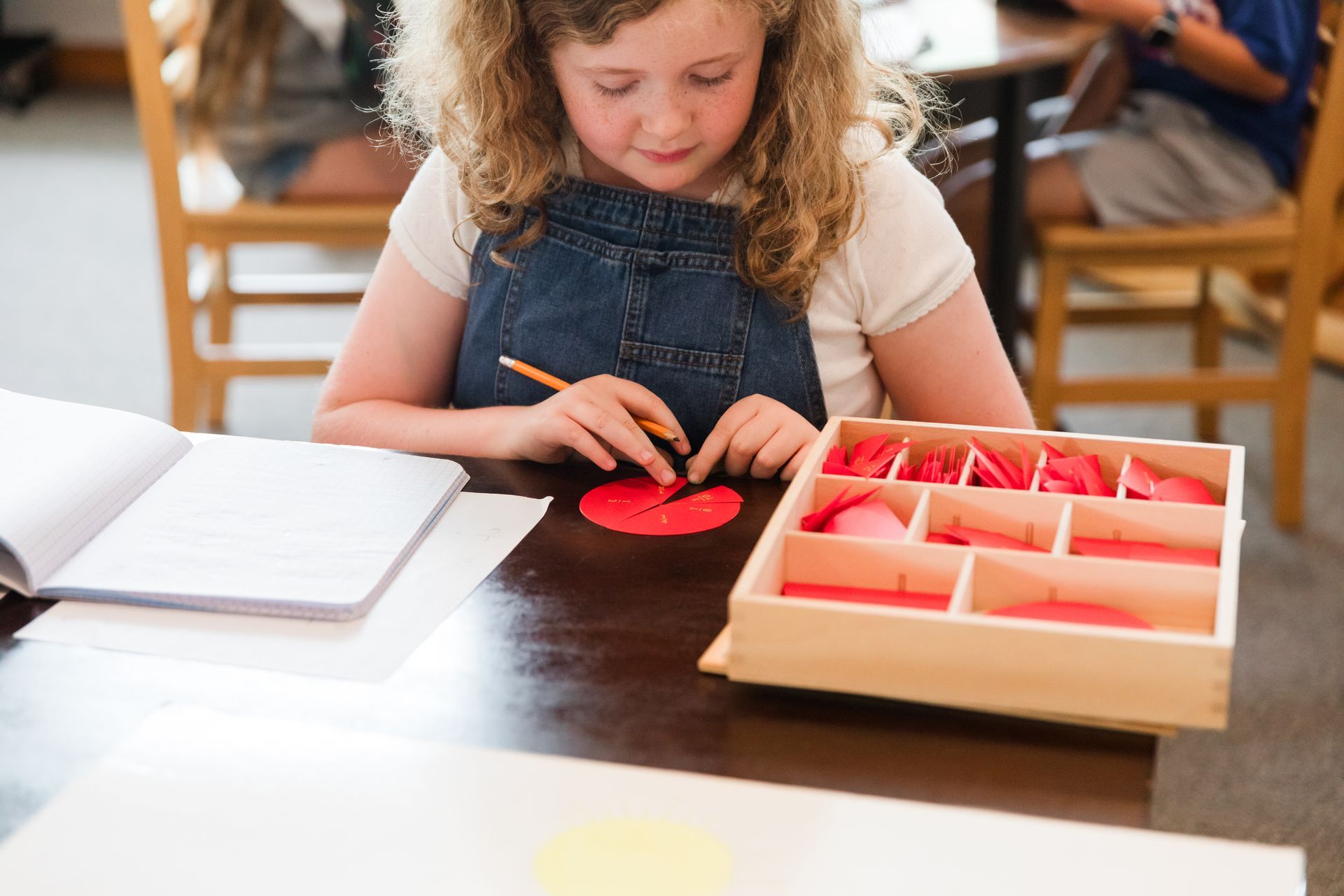 Montessori child working with fractions
