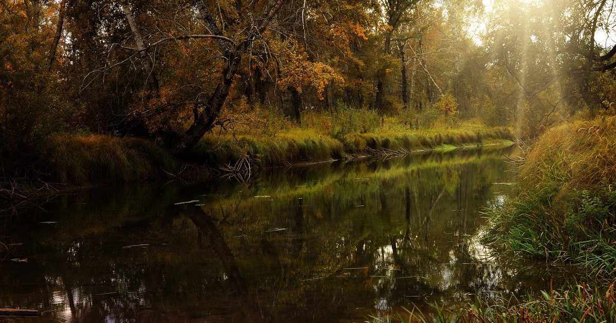 Miller Family Funeral Home Snyder, TX