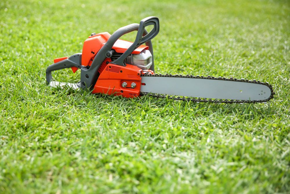 A Chainsaw Is Sitting on Top of A Lush Green Lawn — Alice Hosetech & Industrial Supplies in Ciccone, NT