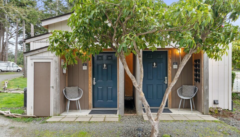A small house with two blue doors and a tree in front of it.