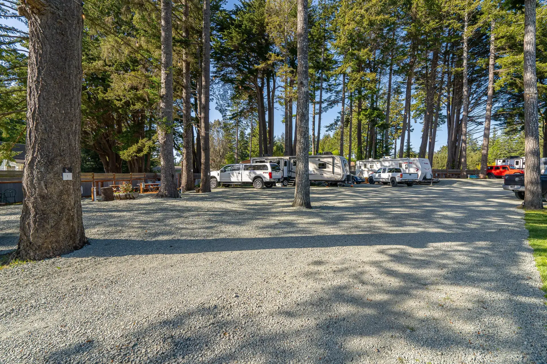 A gravel driveway in the middle of a forest with cars parked in it.