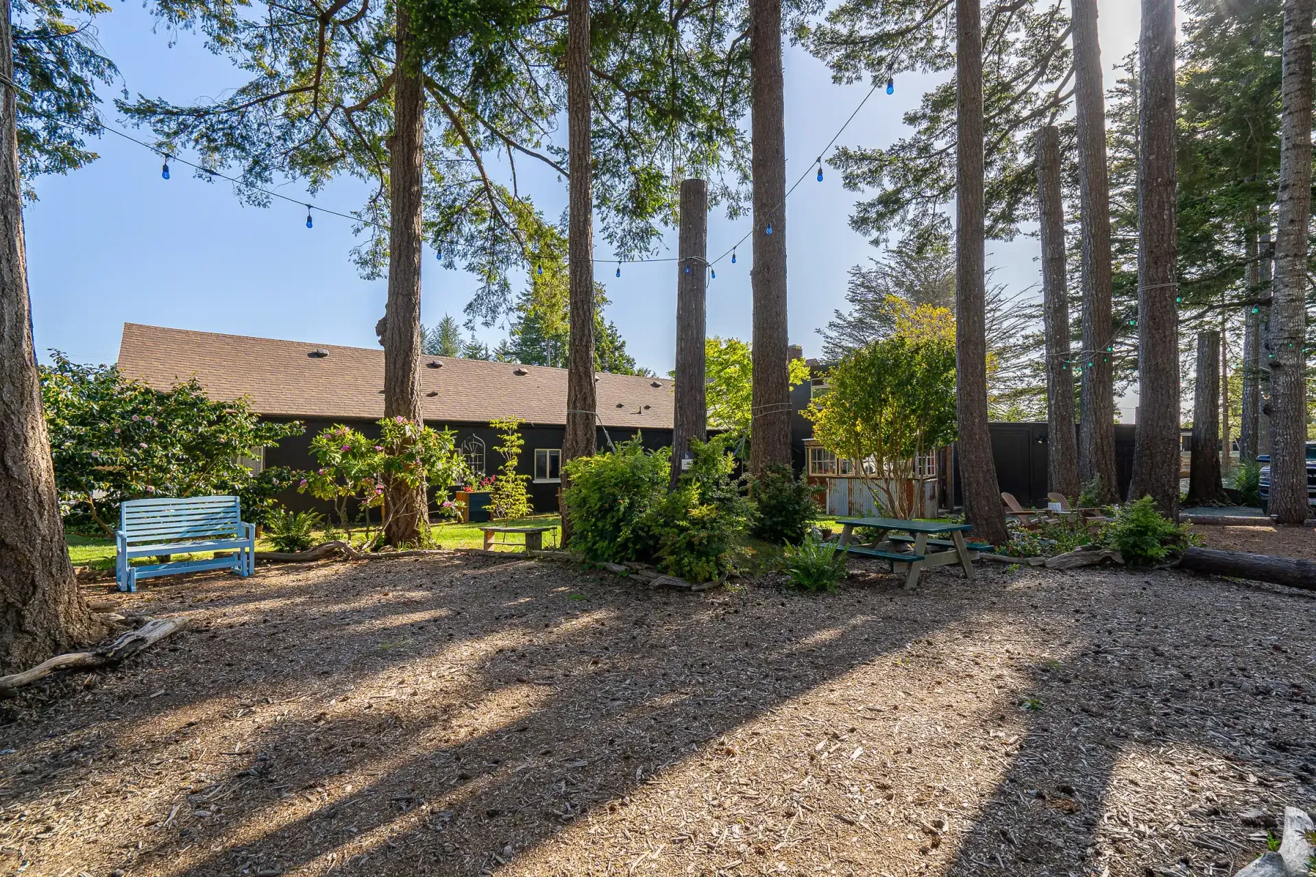 A house is sitting in the middle of a forest surrounded by trees.