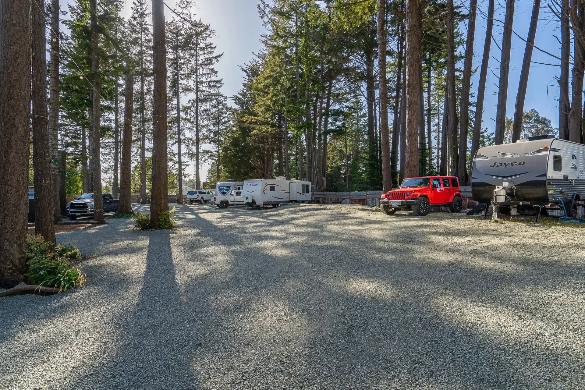 A lot of rvs are parked in a gravel lot in the woods.