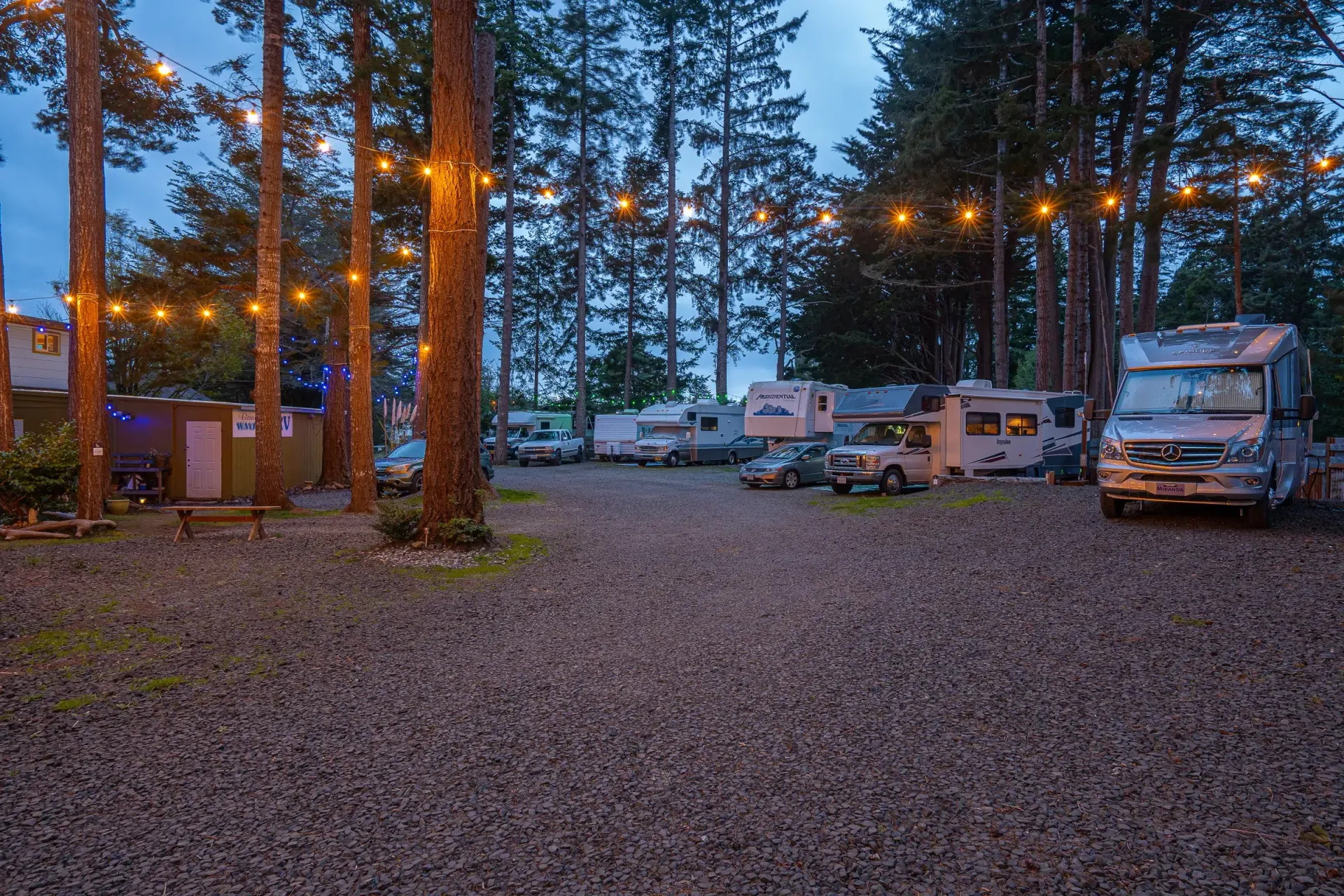 A row of rvs are parked in a gravel lot surrounded by trees.