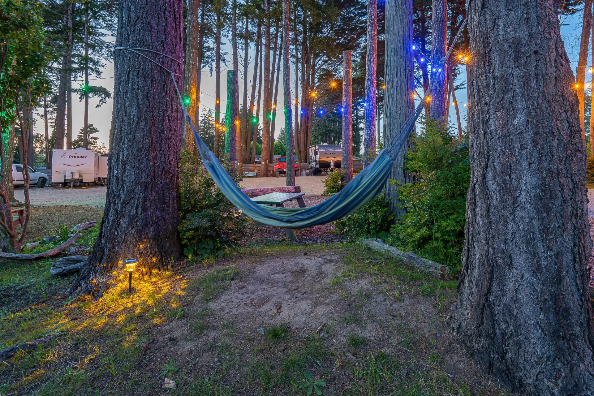 A hammock is hanging between two trees in the middle of a forest.