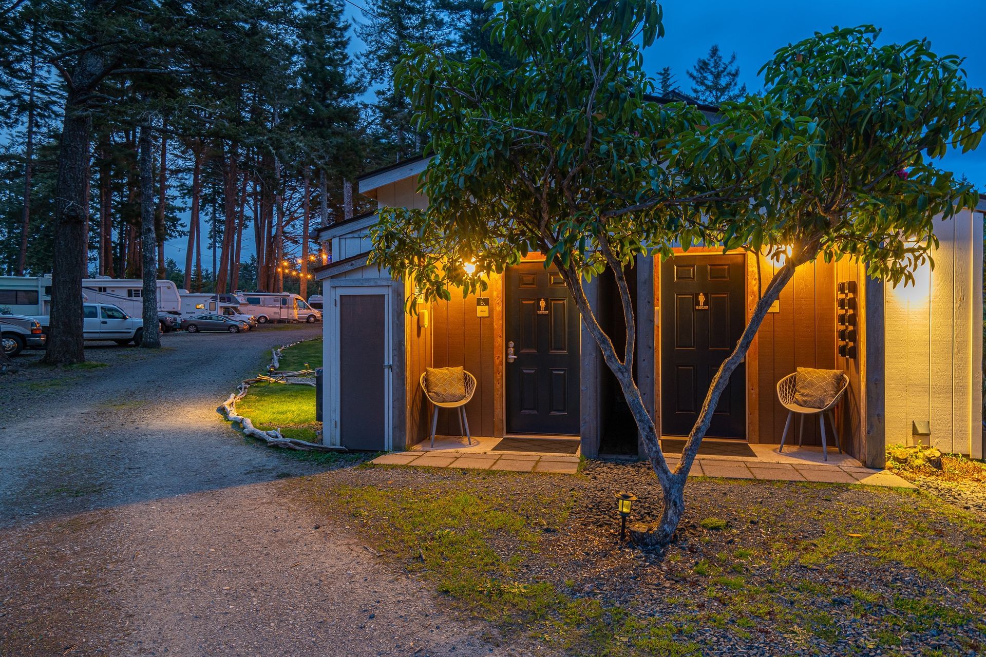 A building with a tree in front of it at night