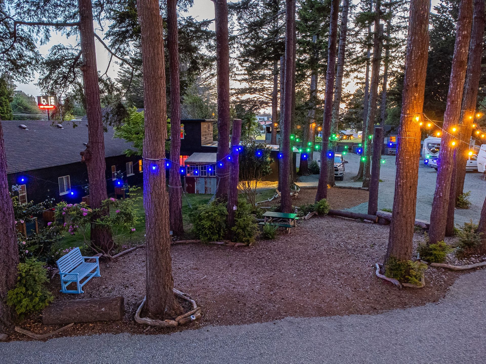A house is surrounded by trees with christmas lights on them.