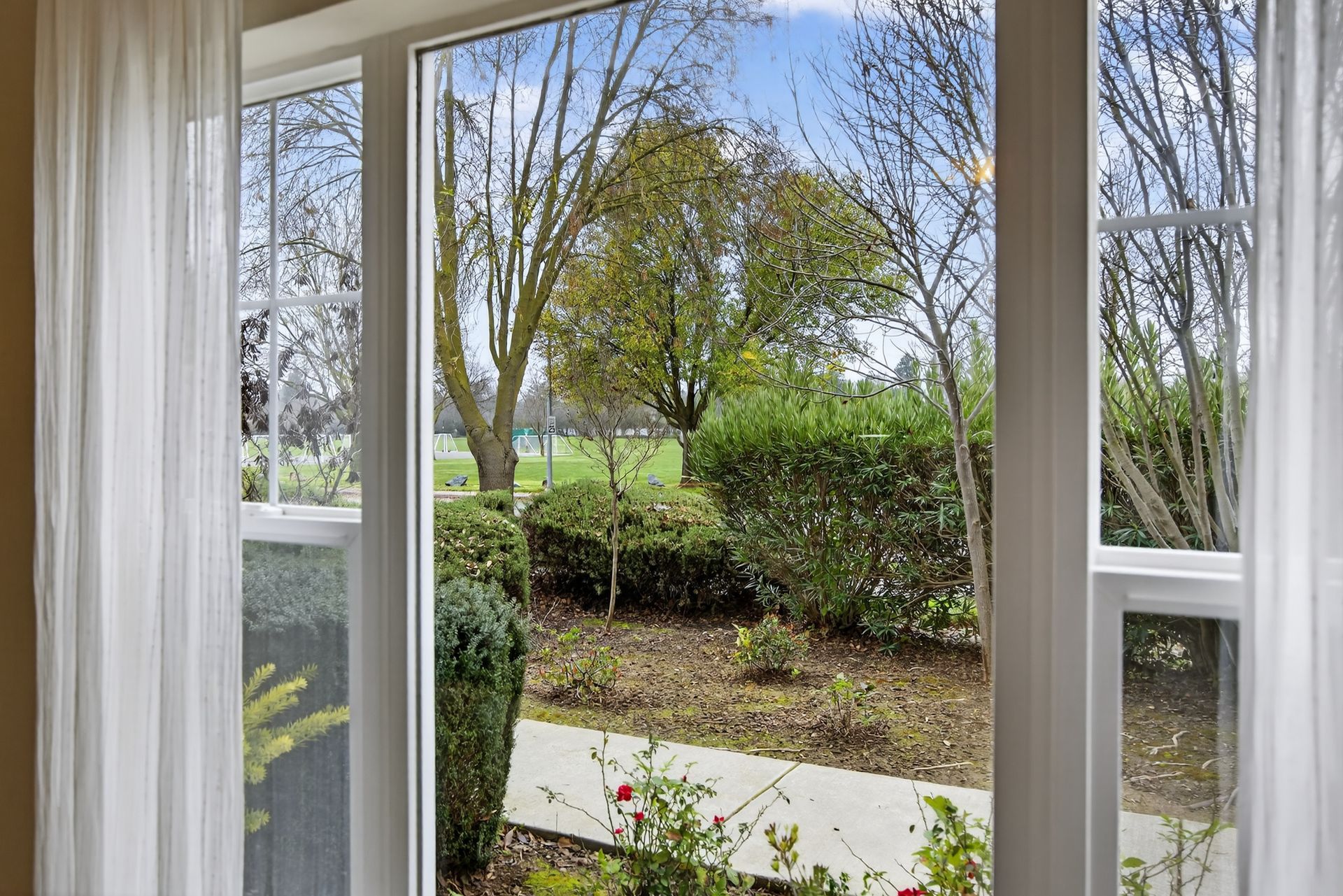 View through a window of a yard with trees and bushes under a cloudy sky. White curtains frame the view.