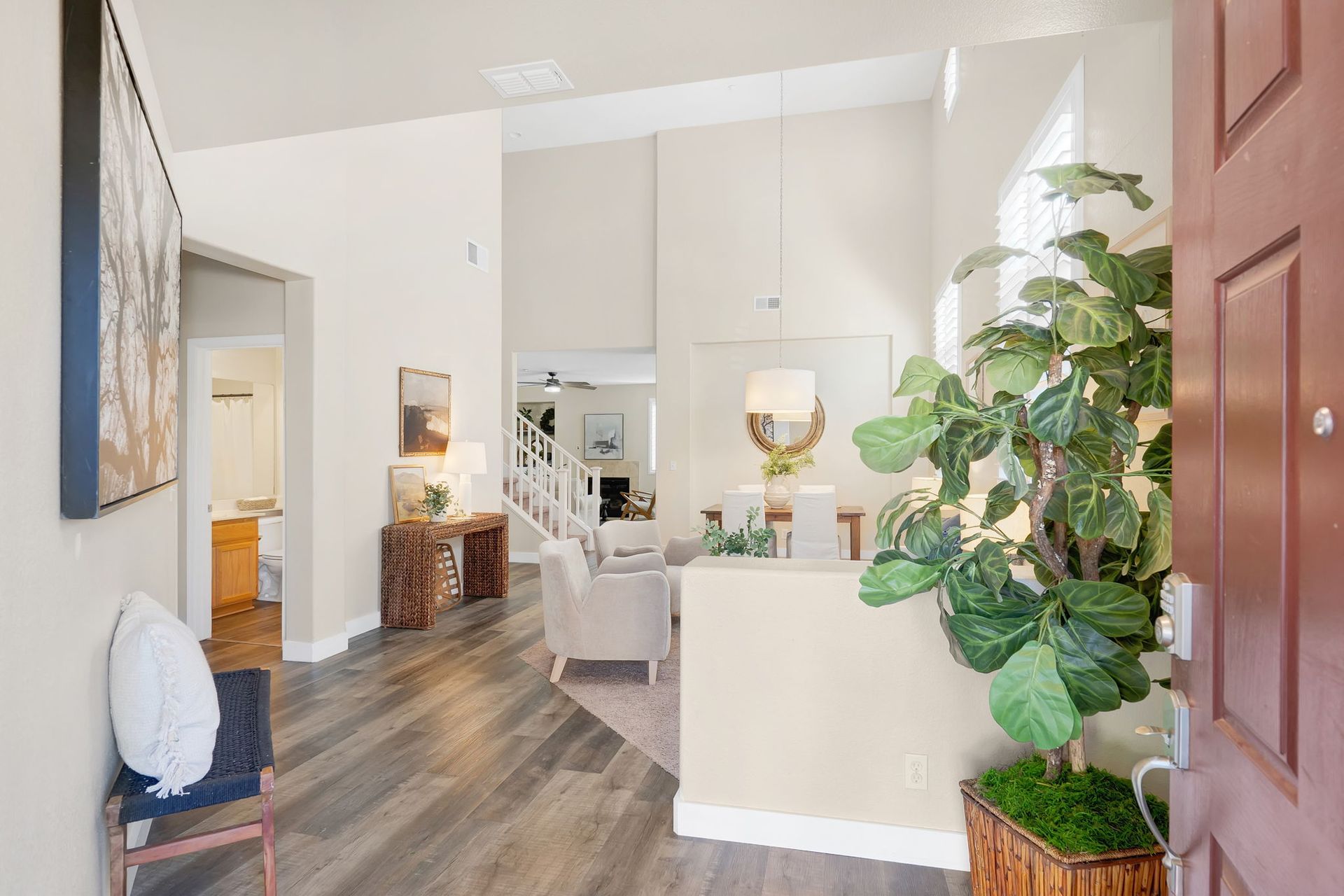 Entryway with wood floors, high ceilings, and a large plant.