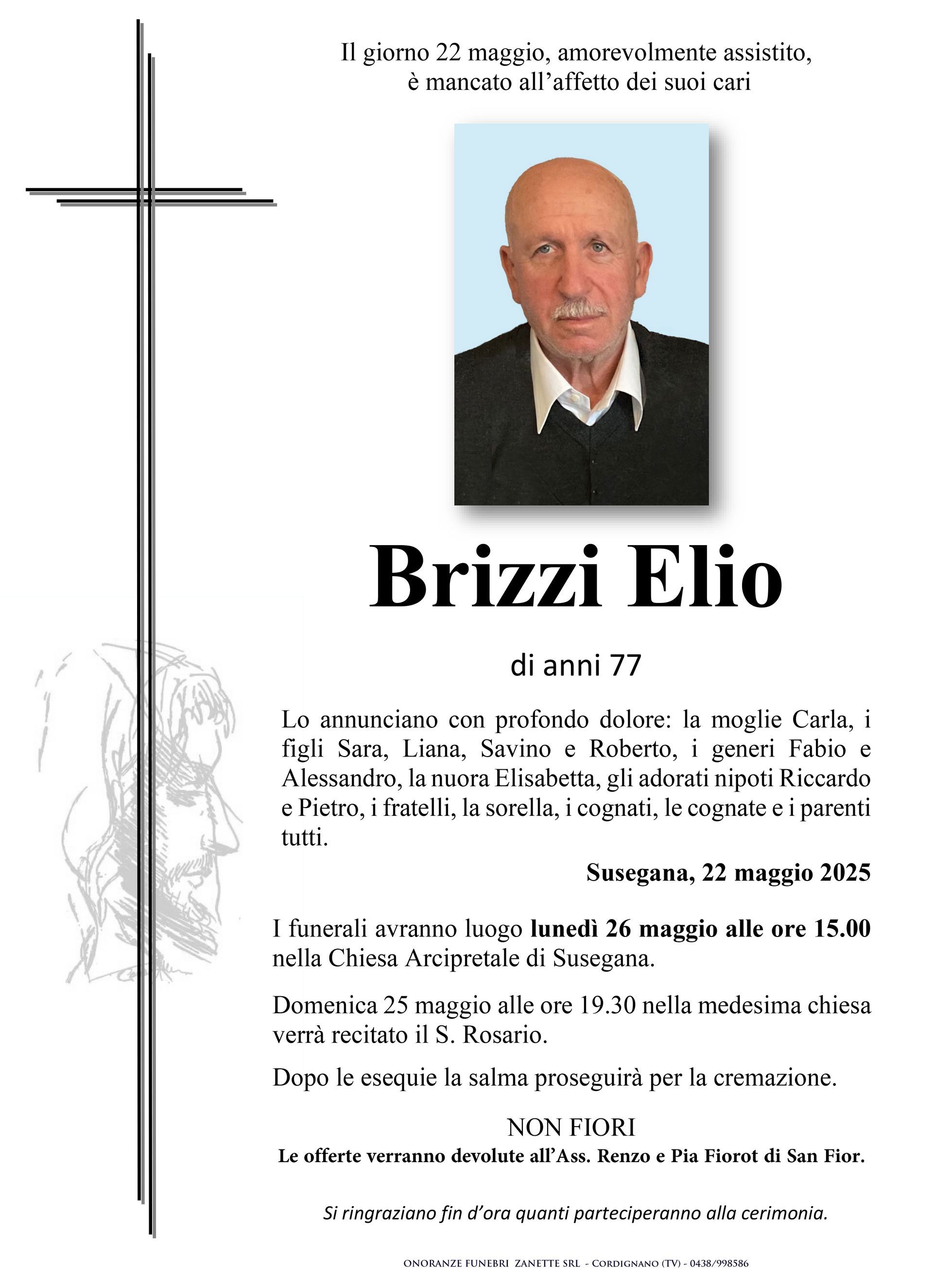 Brizzi Elio