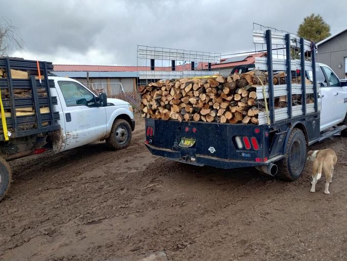 A green dump truck filled with logs is parked in a field.