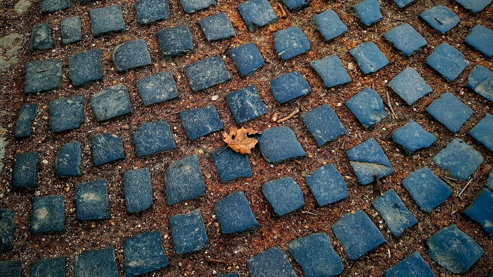 Munich Art Tours by Paul Riedel in Budapest