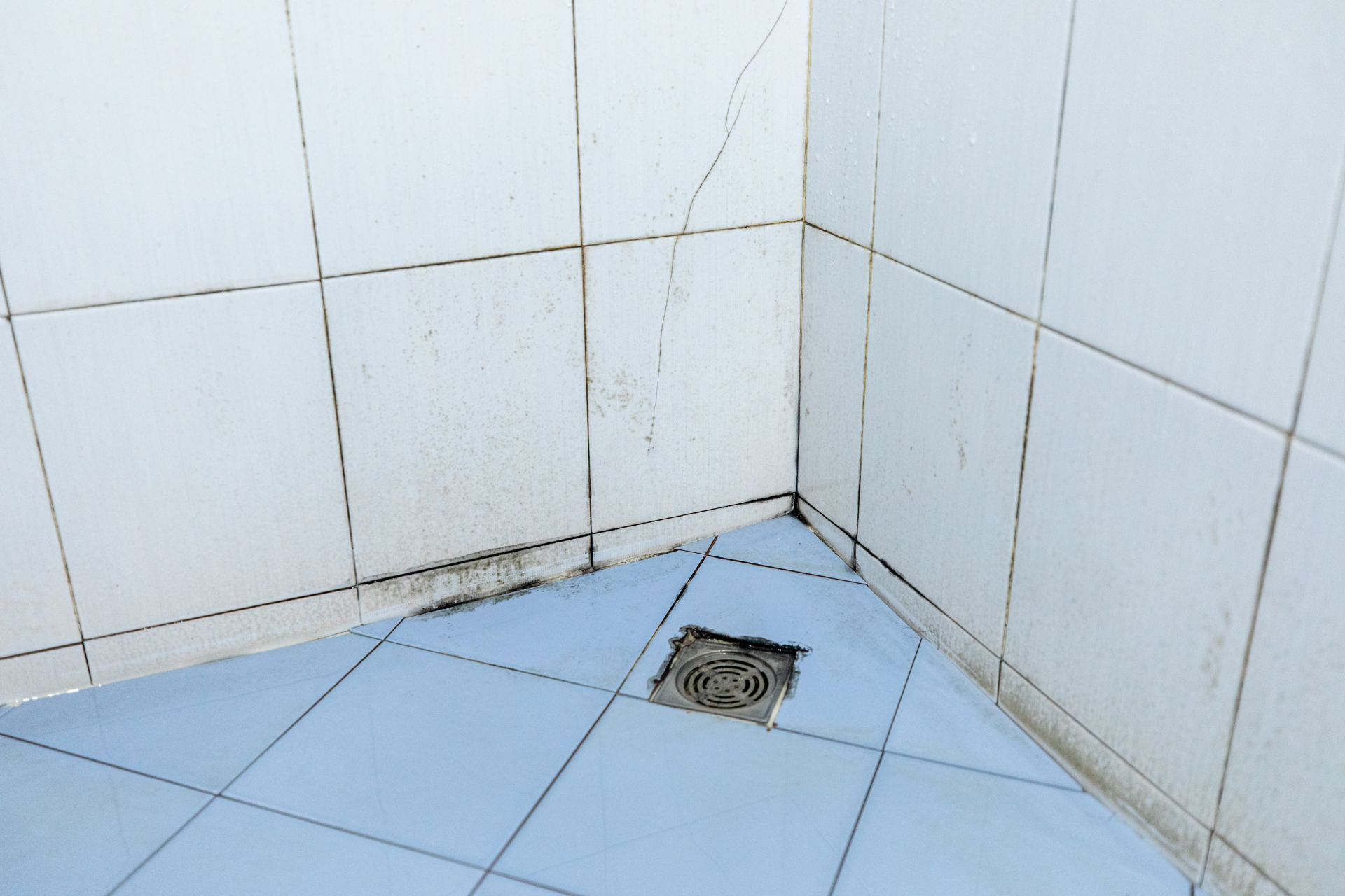 Mold in the Bathroom