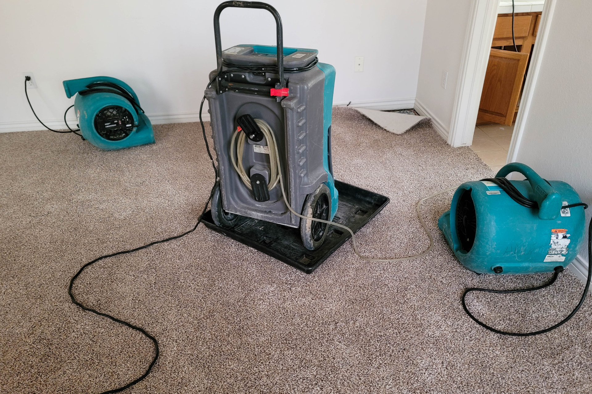 Air Movers and Dehu⁠midifier