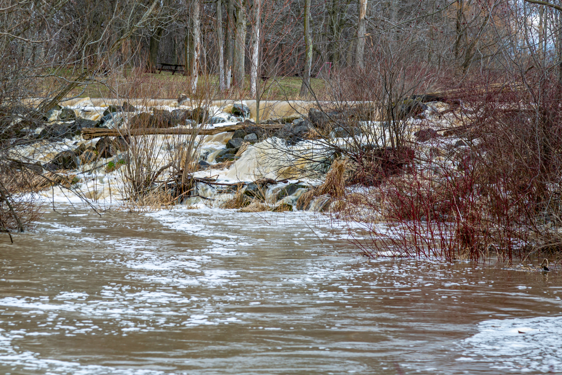 Spring Runoff