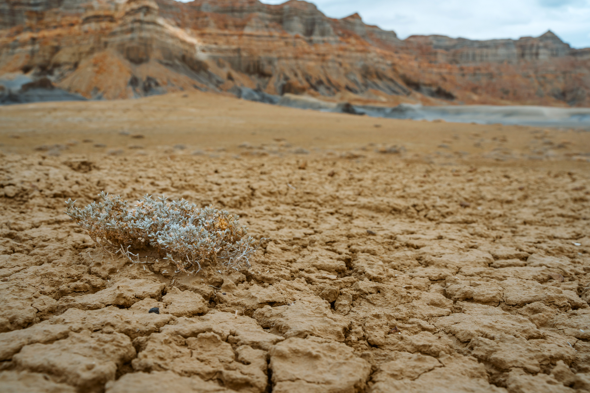 Utah's Dry Climate