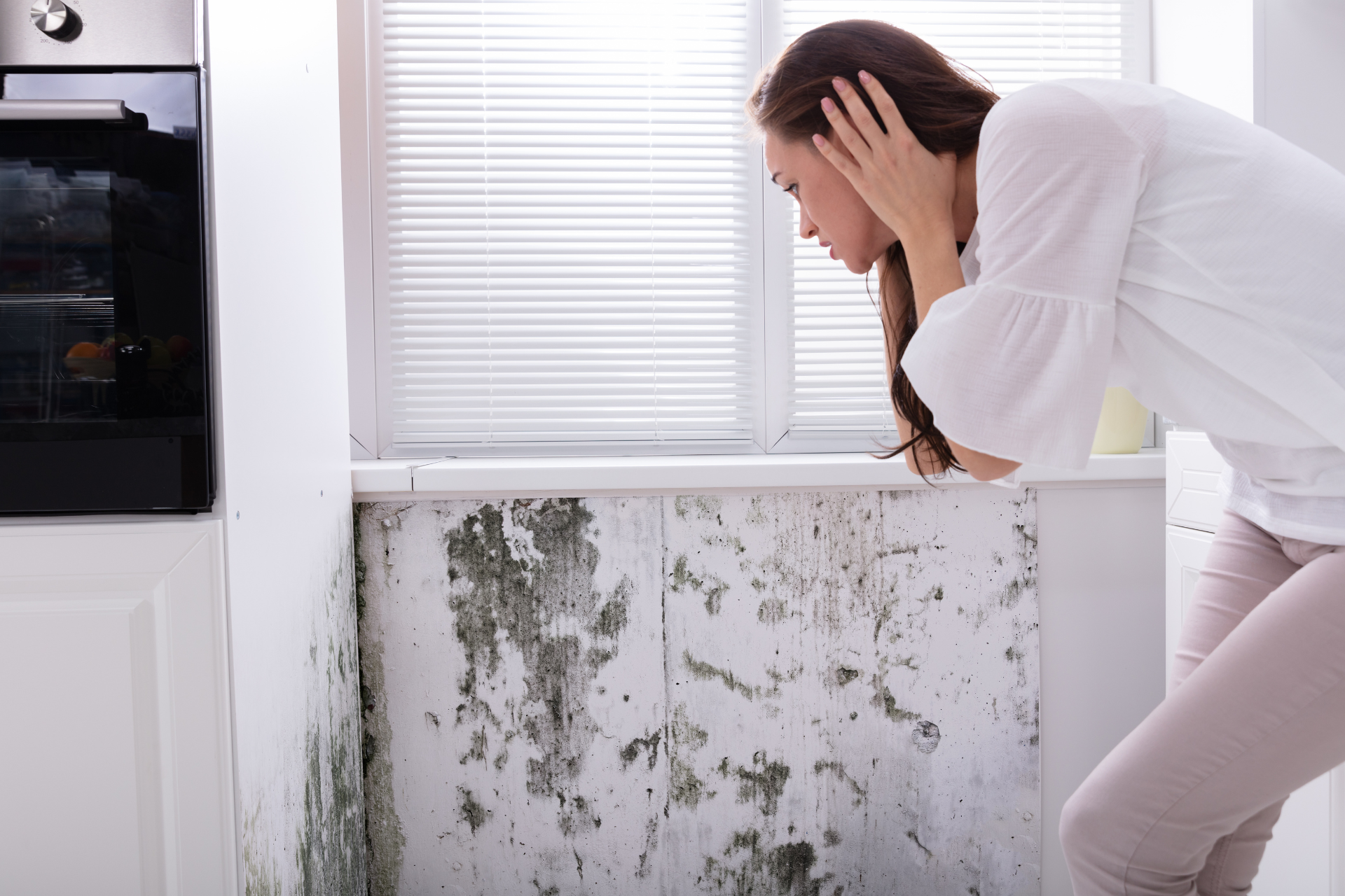 Mold in Your Home