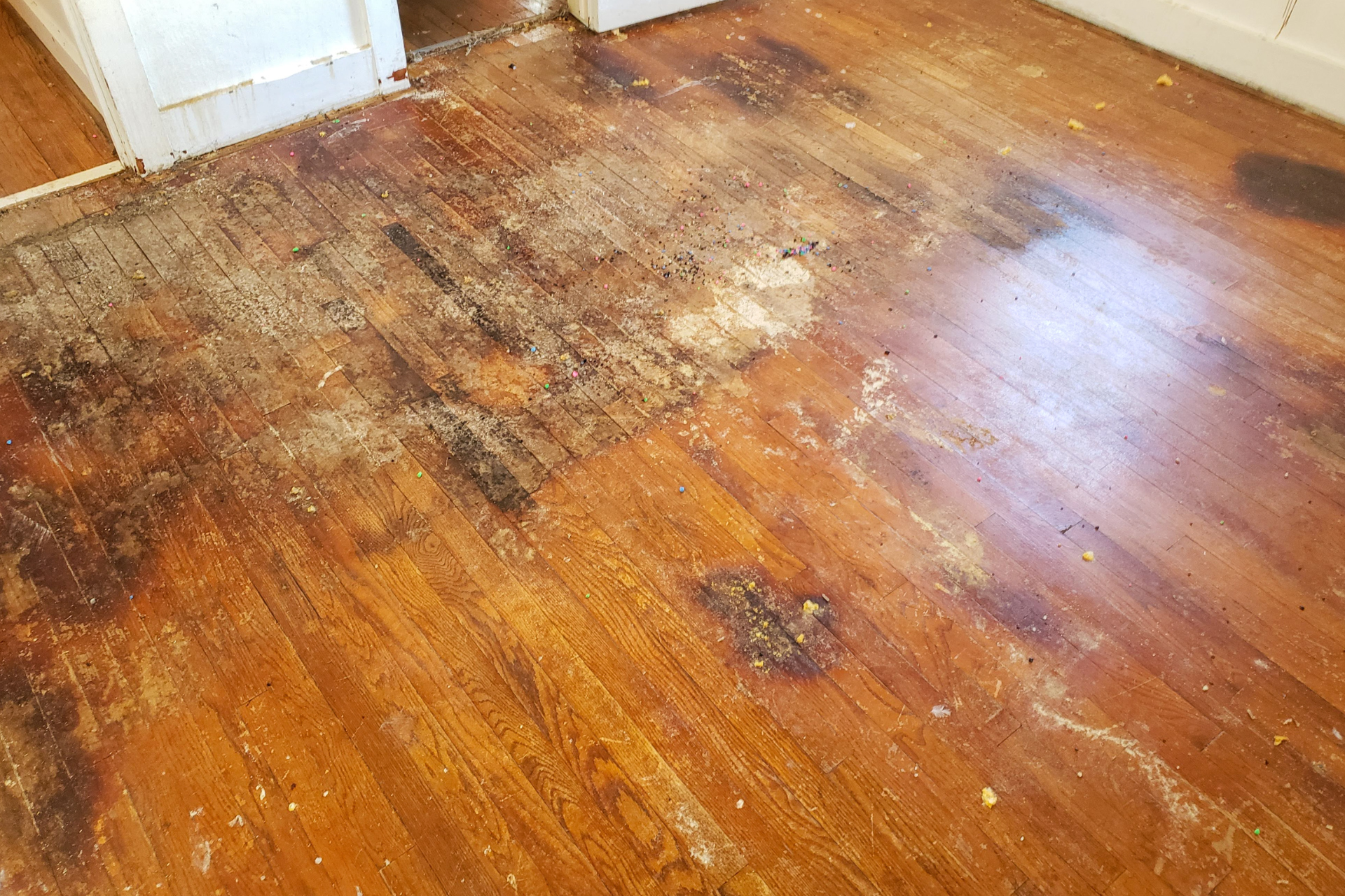 Water Damage and Flooring