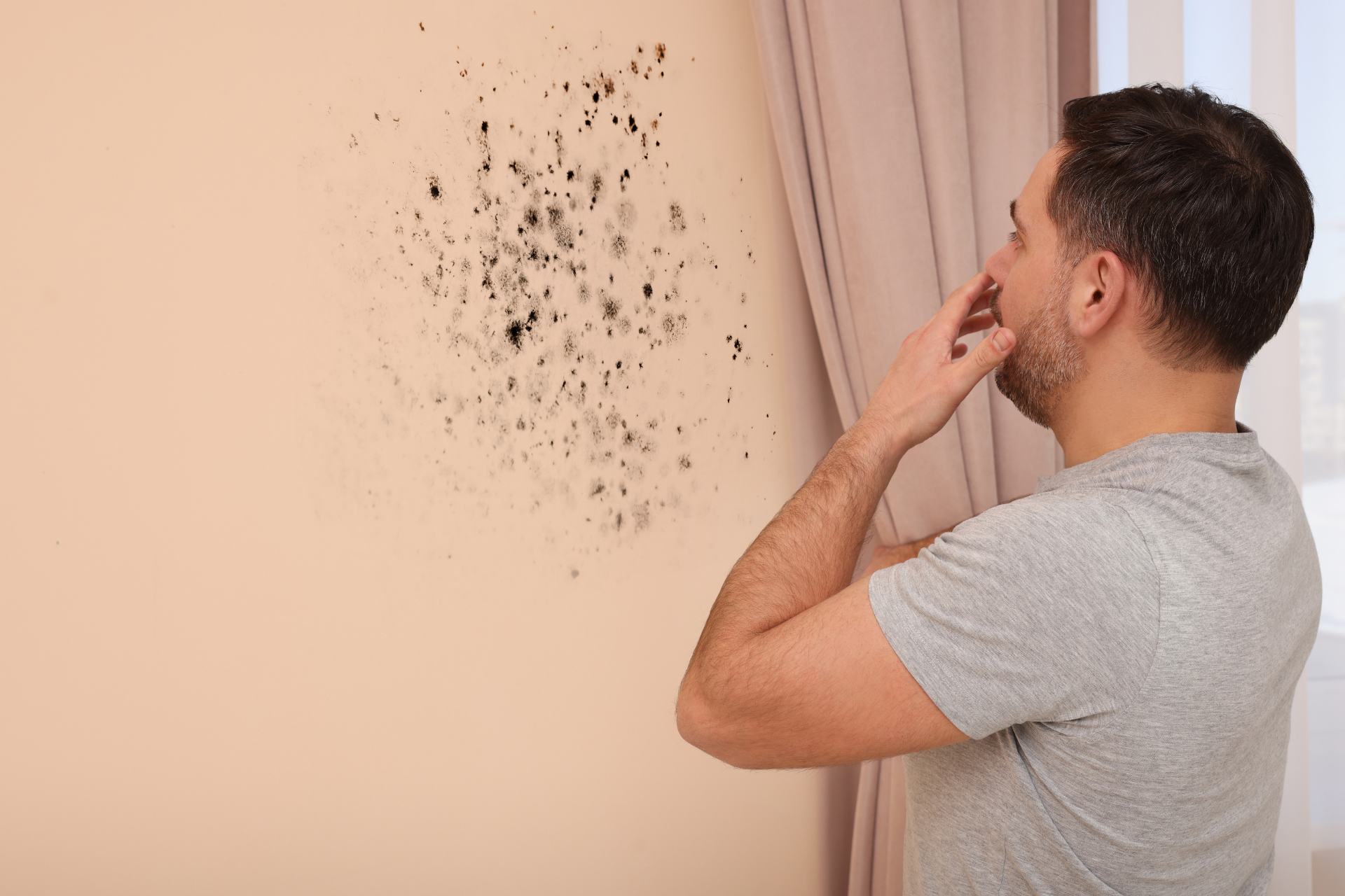  Mold in Your Home