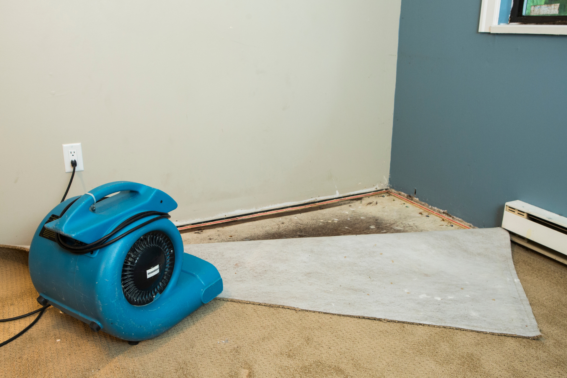 Water Damage Restoration