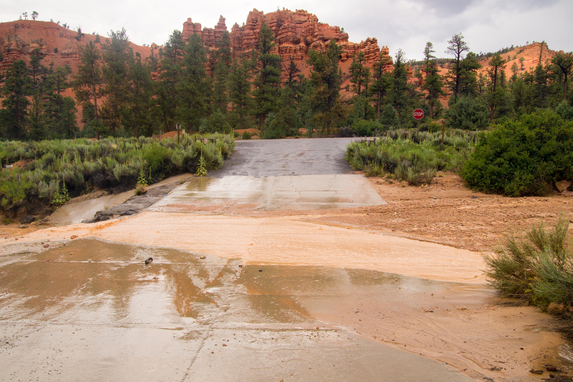 Utah's Flash Floods