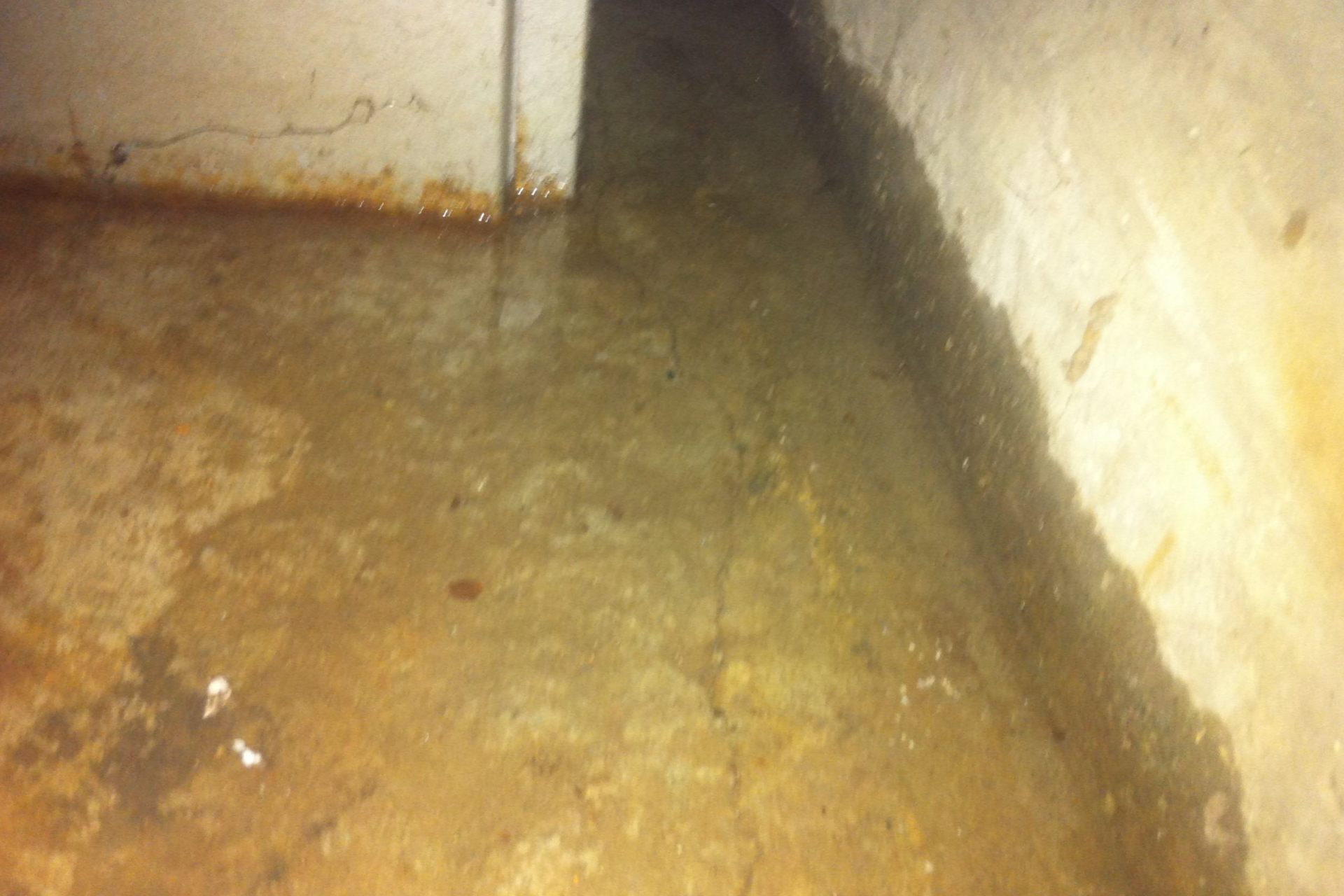 Basement Flood